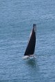 Wed7D_IMG_8694.CR2