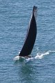 Wed7D_IMG_8702.CR2