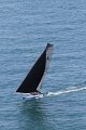 Wed7D_IMG_8707.CR2