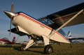 IMG_9561.CR2