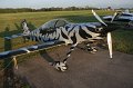 IMG_9588.CR2