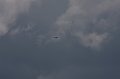 IMG_8196.CR2