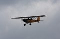 IMG_8201.CR2