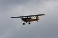 IMG_8202.CR2