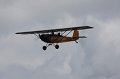 IMG_8203.CR2