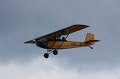 IMG_8206.CR2