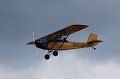 IMG_8208.CR2