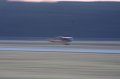 IMG_7648.CR2