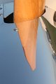 IMG_9637.CR2