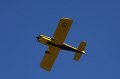 IMG_8103.CR2