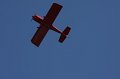 IMG_8113.CR2