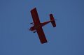 IMG_8115.CR2