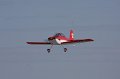 IMG_8118.CR2