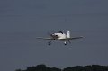 IMG_8140.CR2