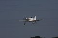 IMG_8141.CR2