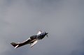 IMG_1413.CR2