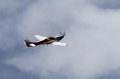 IMG_1422.CR2