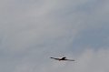 IMG_1442.CR2