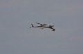 IMG_9470.CR2