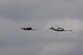 IMG_9493.CR2