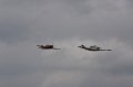 IMG_9494.CR2
