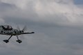 IMG_9536.CR2