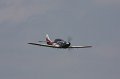 IMG_9550.CR2