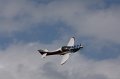 IMG_9555.CR2
