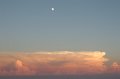 IMG_4855