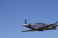 IMG_2248.CR2