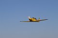 IMG_2277.CR2