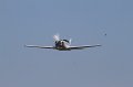IMG_2341.CR2