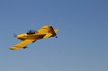 IMG_2875.CR2