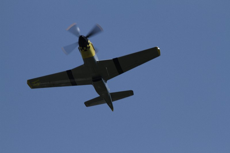IMG_2202.CR2.jpg